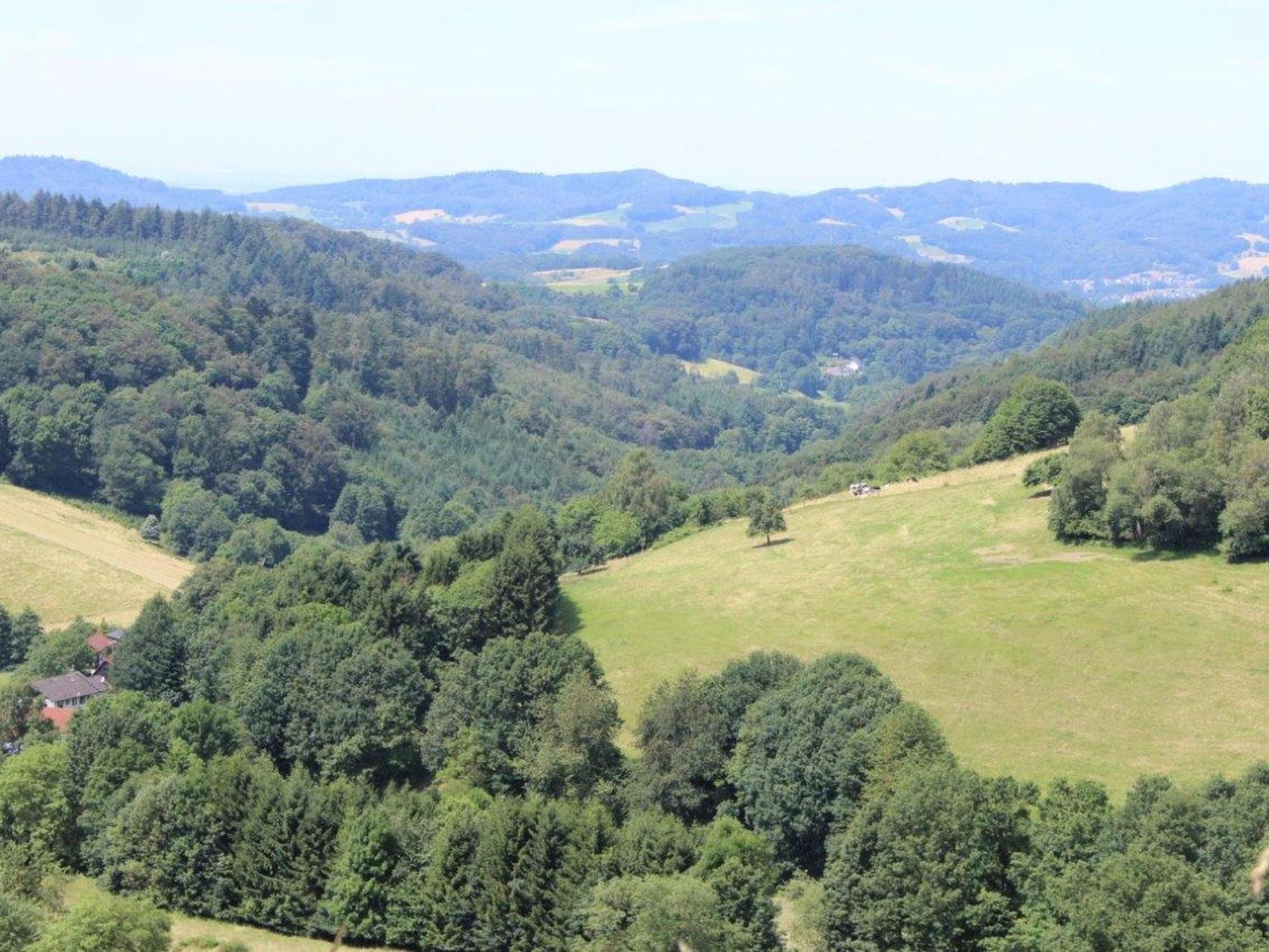 Ferienwohnung Rimbach Bagian luar foto
