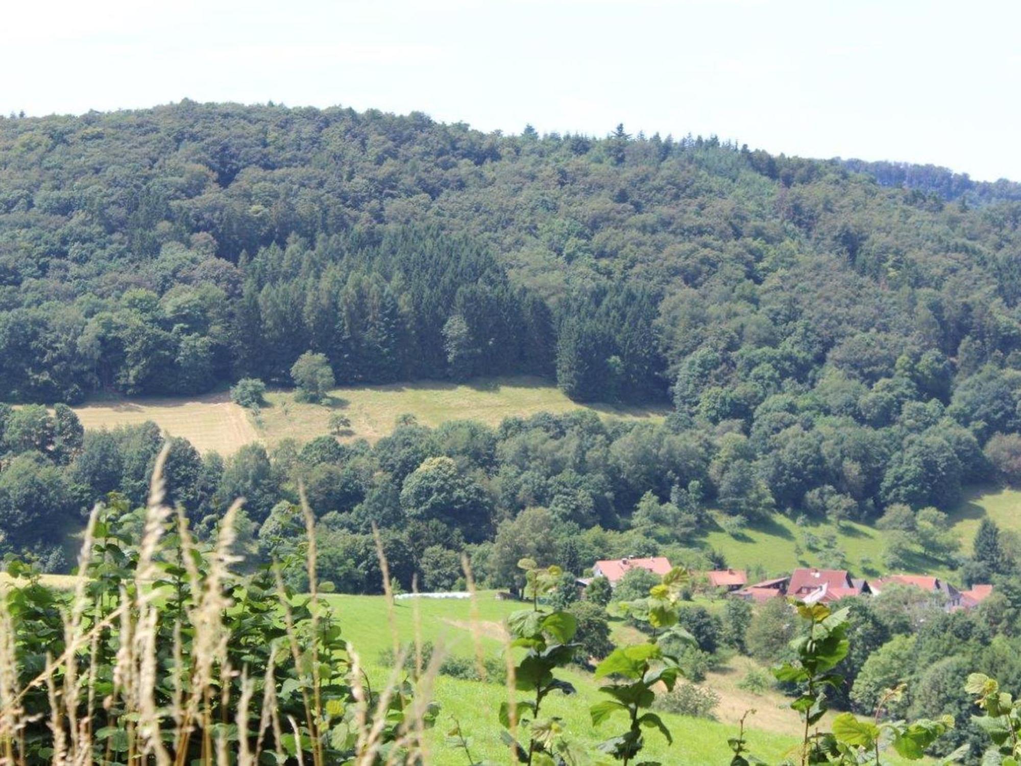 Ferienwohnung Rimbach Bagian luar foto